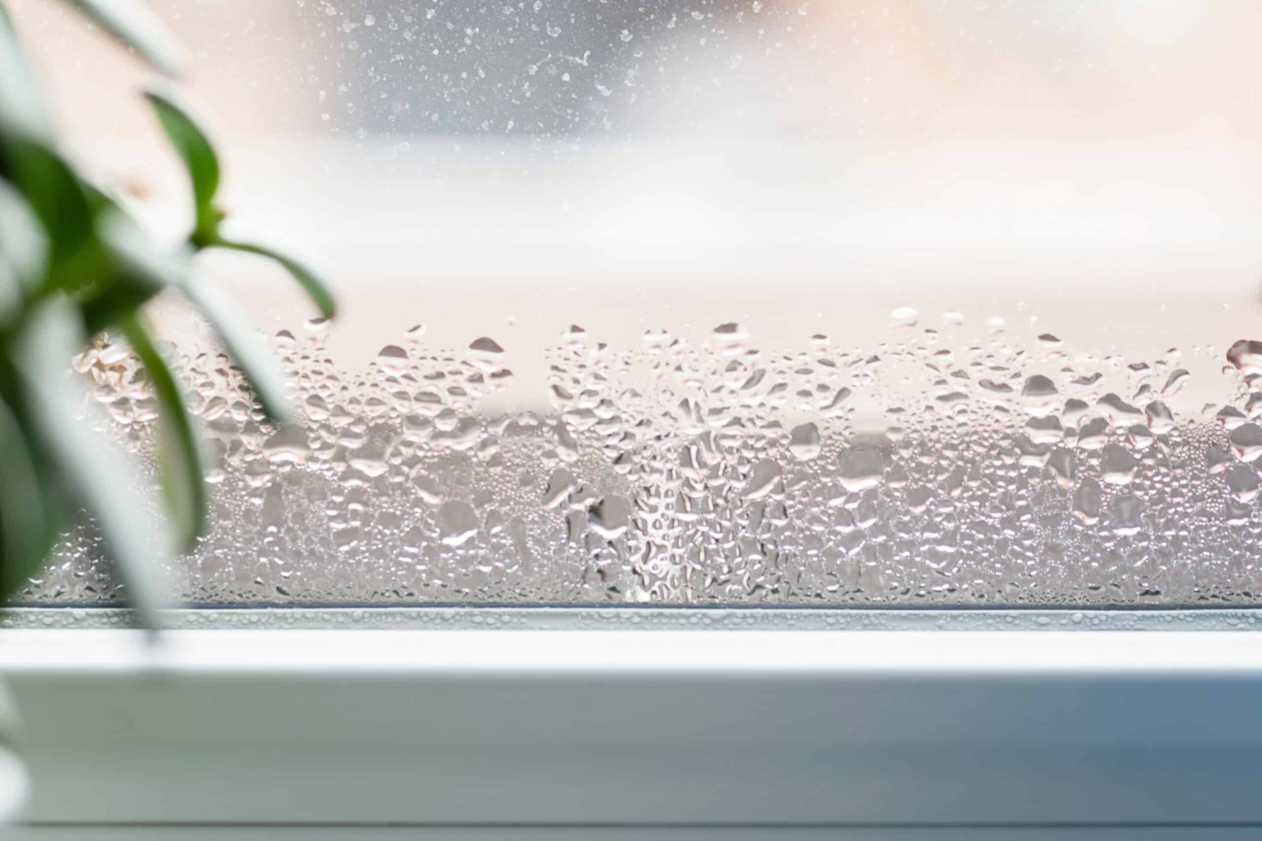Ursache für Kondensation am Fenster