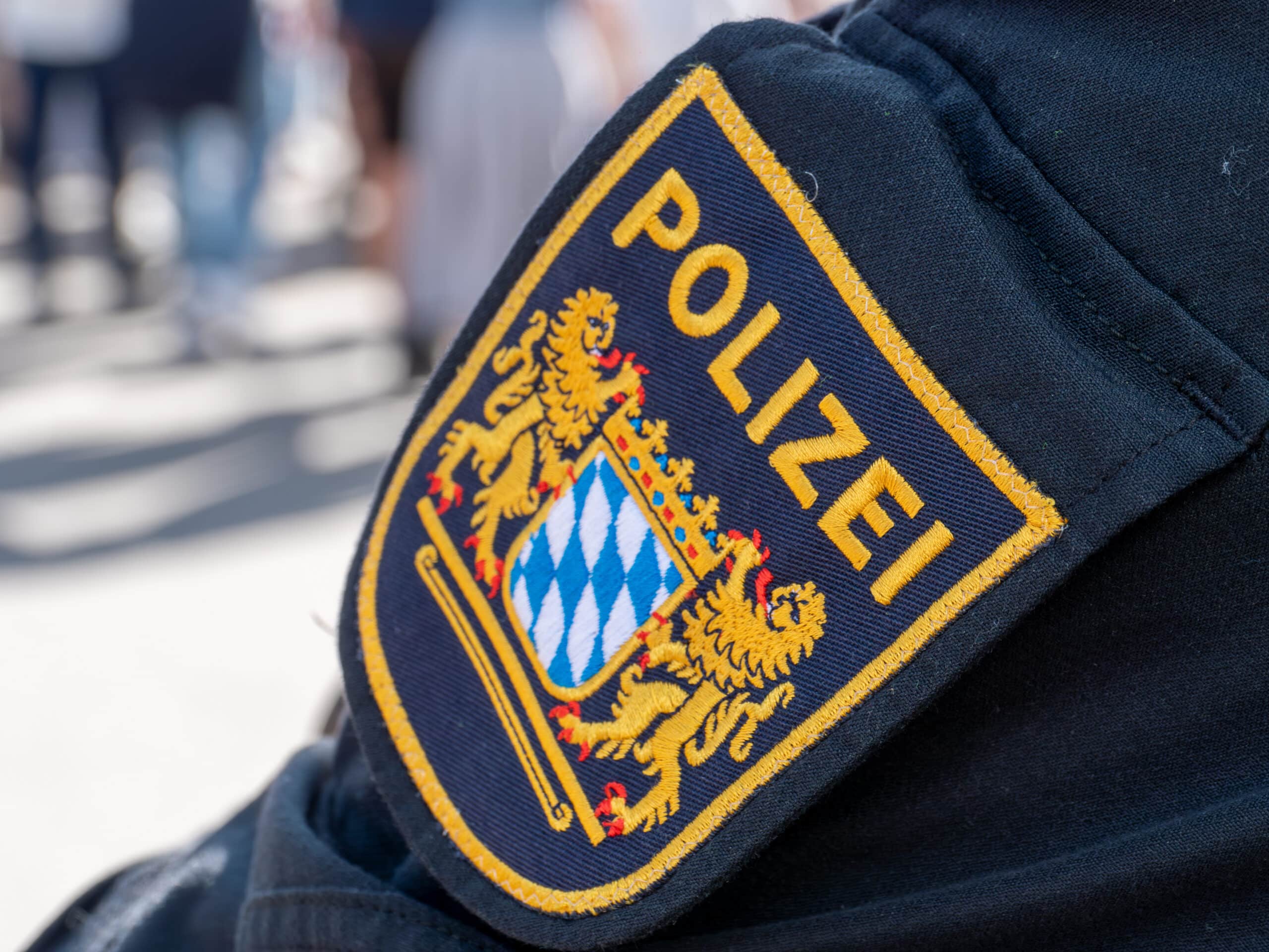 Zollbeamter bei der Inspektion